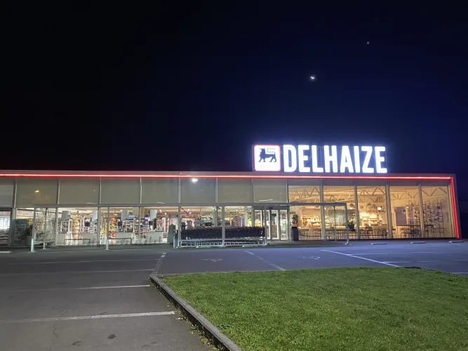Delhaize Wilsele